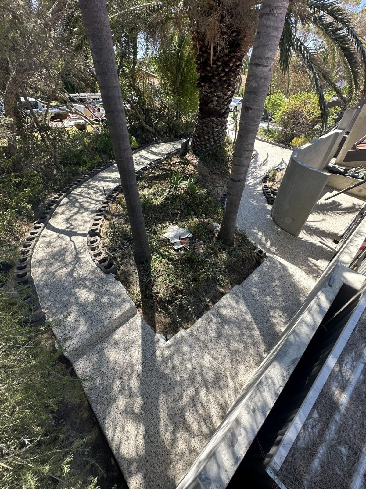 Curved exposed aggregate paths and steps around palms